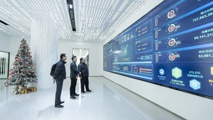 攜手共進，開創信息服務新篇章——上海市信息服務業行業協會秘書長陸雷一行蒞臨珍島集團調研