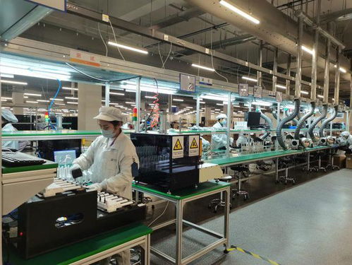 兩江新區軟件和信息服務業加速復工復產，信息服務業務迎來新發展