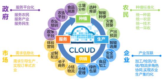 融合創(chuàng)新，智慧賦能 遠(yuǎn)光移動(dòng)互聯(lián)如何以信息技術(shù)咨詢服務(wù)驅(qū)動(dòng)“互聯(lián)網(wǎng)+農(nóng)業(yè)”落地